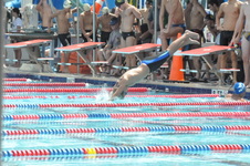 Enlarge photo 131