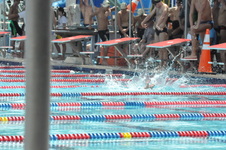 Enlarge photo 133
