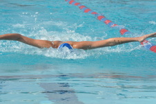 Enlarge photo 134