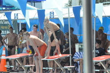 Enlarge photo 135