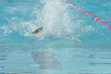 Enlarge photo 136