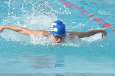 Enlarge photo 140