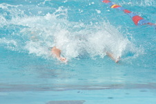 Enlarge photo 142
