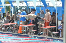 Enlarge photo 145