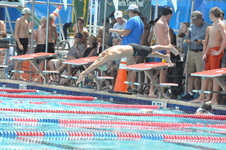 Enlarge photo 147