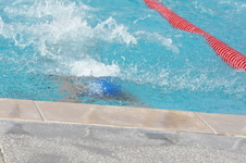 Enlarge photo 148