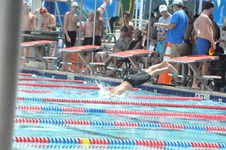 Enlarge photo 149