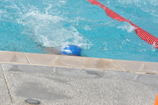 Enlarge photo 150