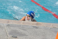 Enlarge photo 151