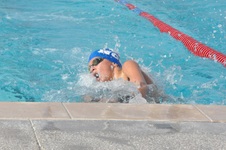 Enlarge photo 153