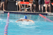 Enlarge photo 154