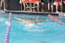Enlarge photo 155