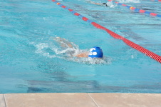 Enlarge photo 157