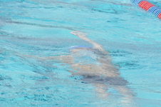 Enlarge photo 158