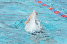 Enlarge photo 161