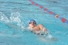 Enlarge photo 164