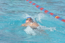 Enlarge photo 166