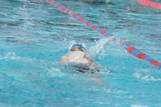 Enlarge photo 168