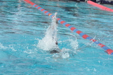 Enlarge photo 169