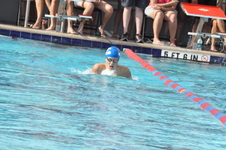 Enlarge photo 176