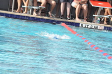 Enlarge photo 178
