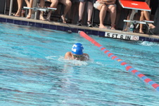 Enlarge photo 182