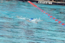 Enlarge photo 187
