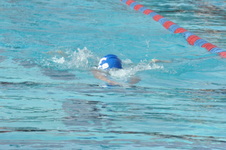 Enlarge photo 195