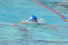 Enlarge photo 197