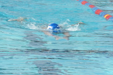 Enlarge photo 200