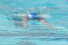 Enlarge photo 207