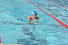 Enlarge photo 209