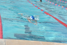 Enlarge photo 210
