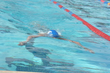 Enlarge photo 212