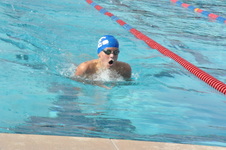 Enlarge photo 213