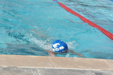 Enlarge photo 215