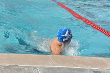 Enlarge photo 216