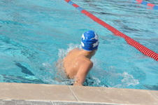 Enlarge photo 217