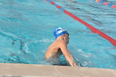 Enlarge photo 218