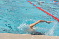 Enlarge photo 219