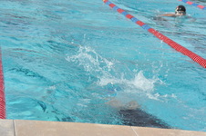 Enlarge photo 220
