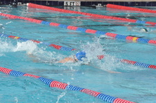 Enlarge photo 224