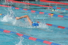 Enlarge photo 225
