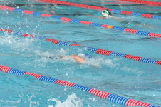 Enlarge photo 226
