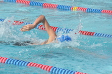 Enlarge photo 228