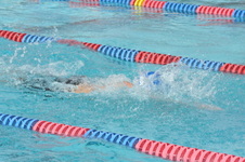 Enlarge photo 229