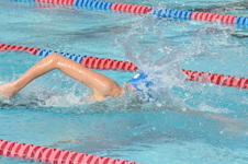 Enlarge photo 230