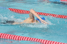 Enlarge photo 231