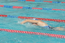 Enlarge photo 238