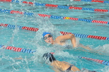 Enlarge photo 239